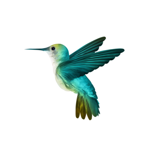 Hummingbird Therapies
